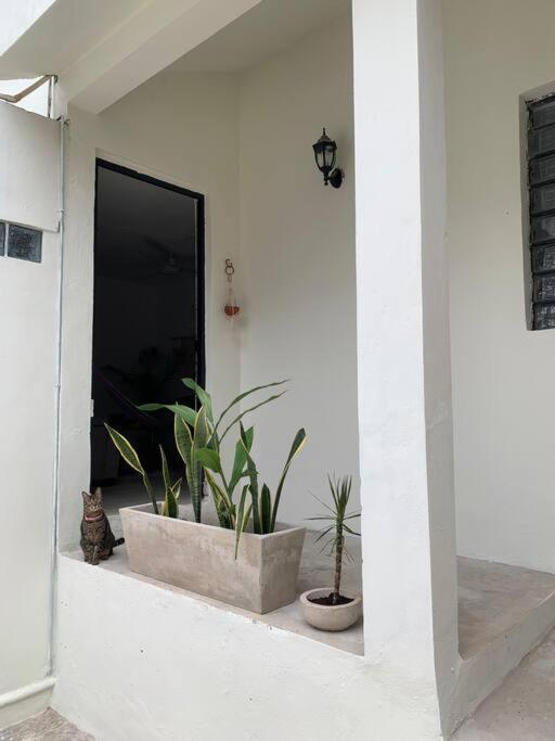Private Full House With Pool And Cozy Patio Βίλα Βαγιαδολίδ Εξωτερικό φωτογραφία